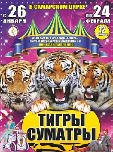 Цирк "Королевские тигры Суматры" Цирк "Королевские тигры Суматры"