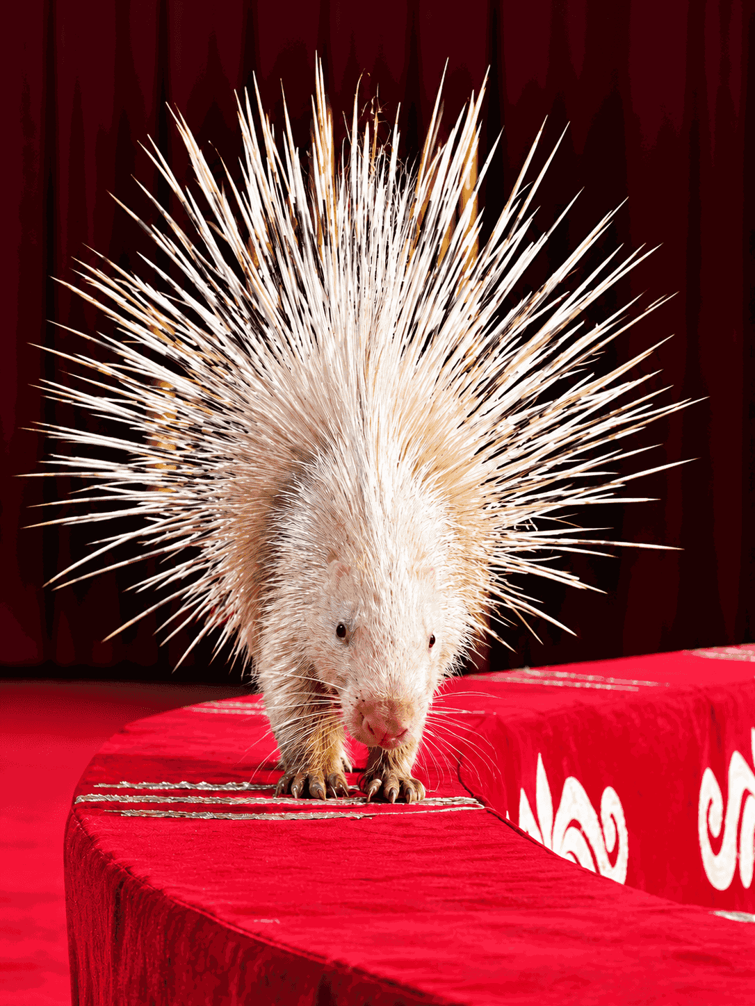 arh/gallery/d2/d201fded6864a621a4394f4adcad43d1.png