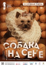 СОБАКА НА СЕНЕ Фото афиши СОБАКА НА СЕНЕ