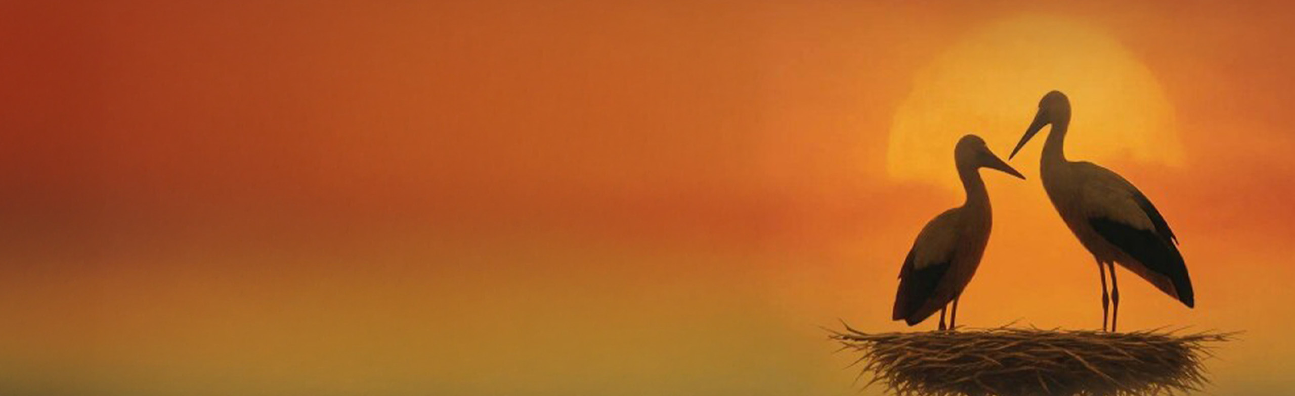 Постер Распродажа по-чёрному в Астрахани