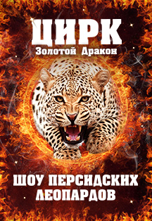 Цирк Золотой Дракон (Томск) Цирк Золотой Дракон (Томск)