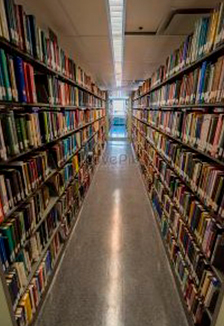 Постер Книжный навигатор. Экскурсия в Чайковском