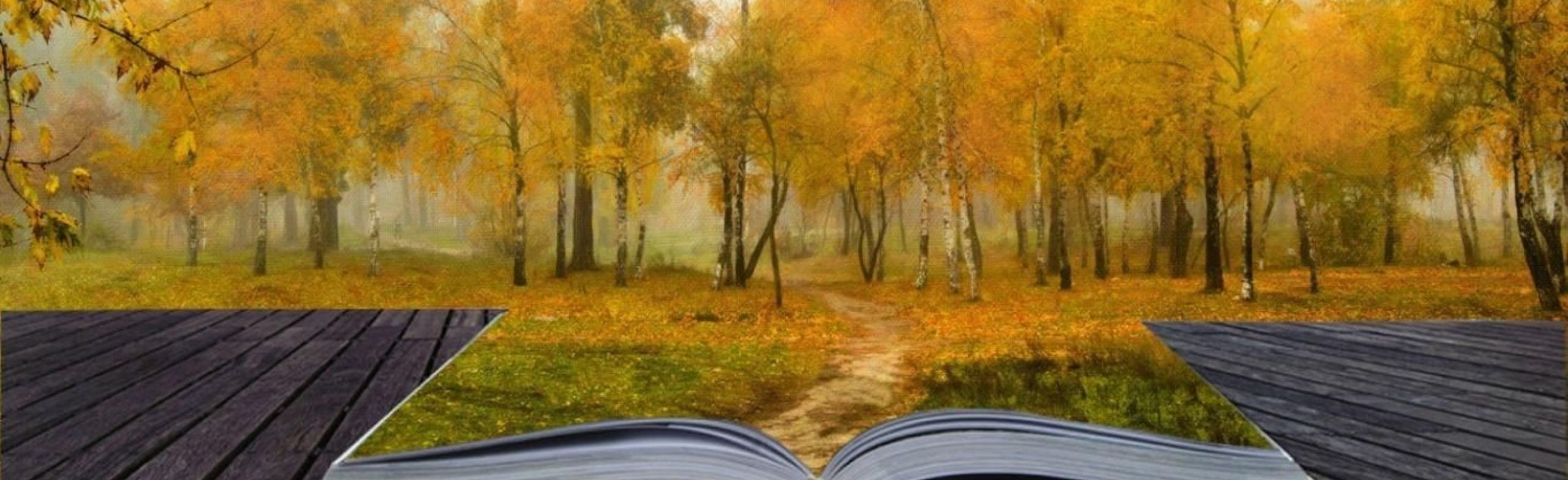 Фото афиши Край родной в книжном переплёте. Литературная программа.