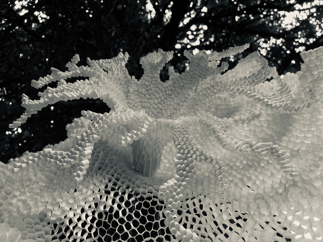 ekb/gallery/81/816f54a779279872e2cb5e0418271236.jpg