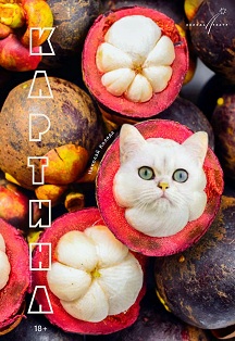 Картина Фото афиши Картина