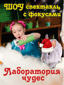 "Лаборатория новогодних чудес" Фото афиши "Лаборатория новогодних чудес"