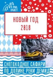 Снегоходное сафари для всей семьи по долине реки Демид Фото афиши Снегоходное сафари для всей семьи по долине реки Демид