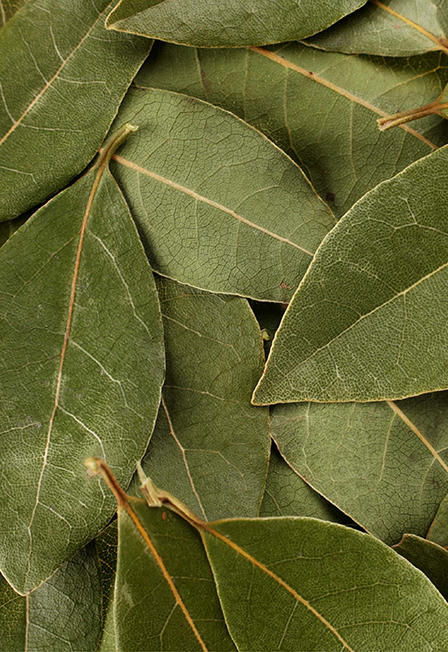 «Национальный гастрономический конкурс «Лавры 2.0»