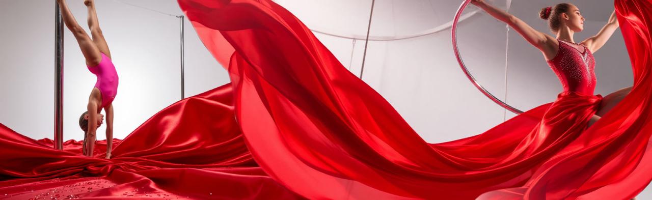 ARTAIR. Кубок Удмуртии по пилонному спорту и воздушной гимнастике Фото афиши ARTAIR. Кубок Удмуртии по пилонному спорту и воздушной гимнастике.