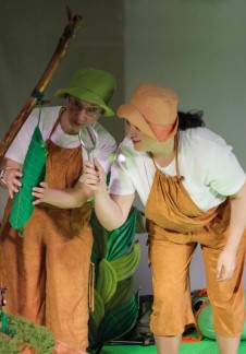 Где бабочка?