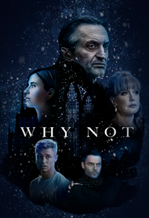 Why Not ?! Фото афиши Why Not ?!