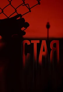 Стая Фото афиши Стая