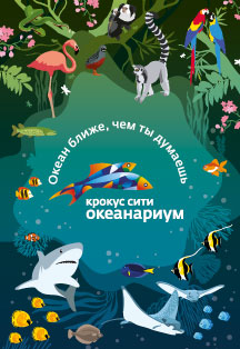 Крокус Сити Океанариум Фото афиши Крокус Сити Океанариум