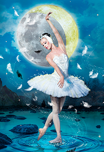 Лебединое озеро (The Swan Lake) Фото афиши Лебединое озеро (The Swan Lake)