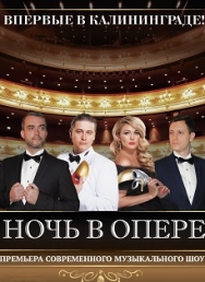 Ночь в опере