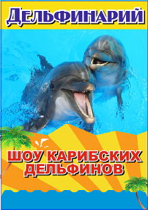 Шоу карибских дельфинов