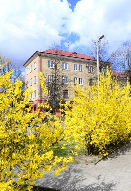 Амалиенау – душа Калининграда.