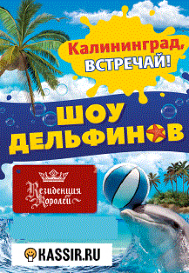 Шоу дельфинов