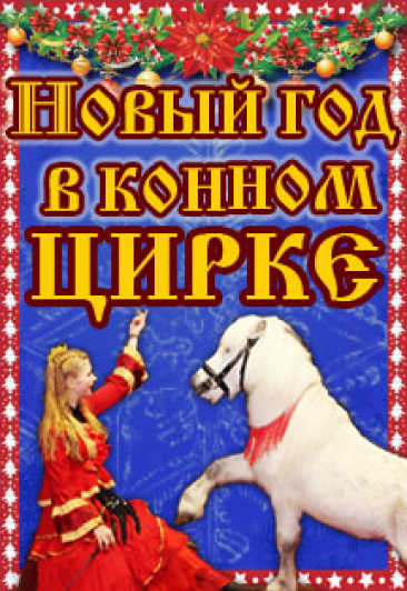 Новый год в конном цирке Новый год в конном цирке