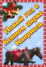Новый год в Конном цирке Новый год в Конном цирке