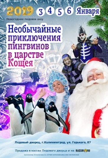 Необычайные приключения пингвинов в царстве Кощея