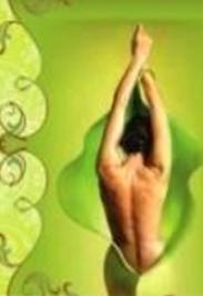 Блаженство Индии. Сертификат на Spa-комплекс.