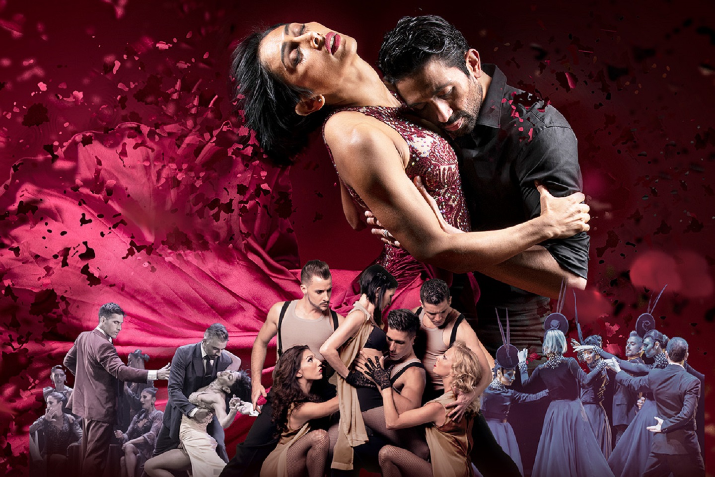 Фото афиши Шоу "Tango Amore".