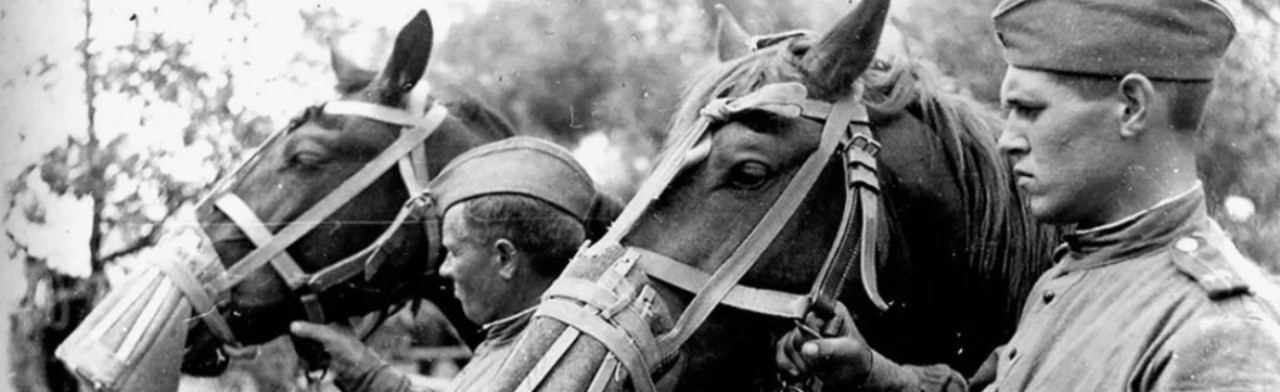 Фото афиши Лошади в Великой Отечественной войне.