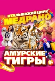 Итальянский цирк "Медрано" с амурскими тиграми Итальянский цирк "Медрано" с амурскими тиграми