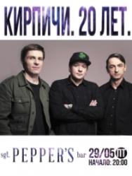 КИРПИЧИ КИРПИЧИ