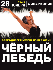 Балет из Бразилии "Черный Лебедь" Балет из Бразилии "Черный Лебедь"
