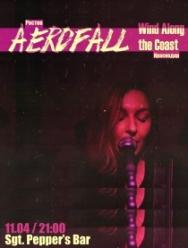 Aerofall