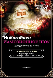 Новогоднее иллюзионное шоу Фото афиши Новогоднее иллюзионное шоу