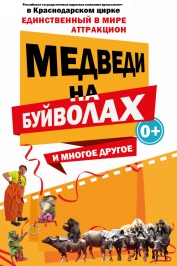 Цирковая программа "Медведи на буйволах" Цирковая программа "Медведи на буйволах"