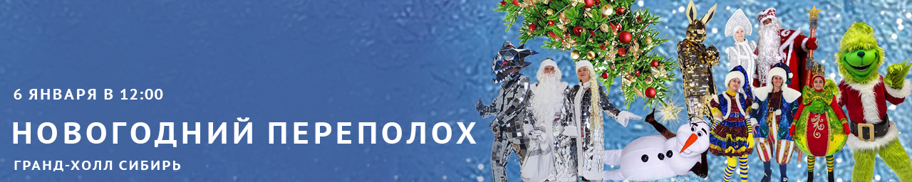 Новогодний переполох