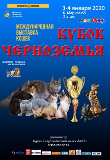 Международная выставка кошек «Кубок Черноземья» Международная выставка кошек «Кубок Черноземья»