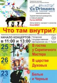 Что там внутри?