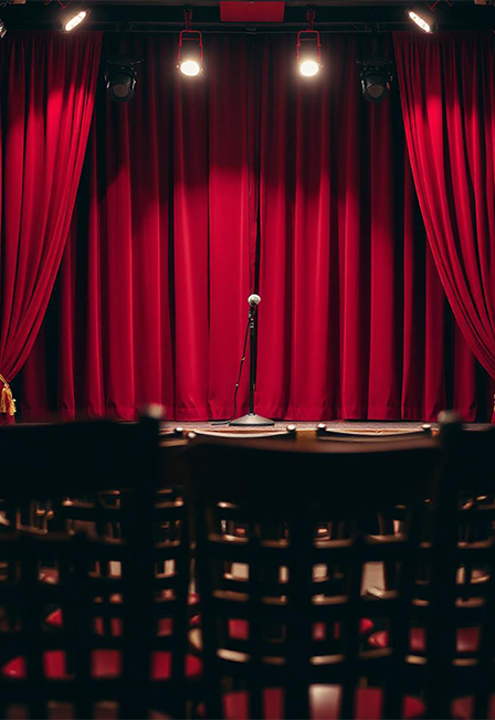 Stand Up: Профи