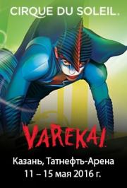 Varekai Cirque du Soleil
