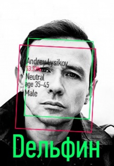 Дельфин