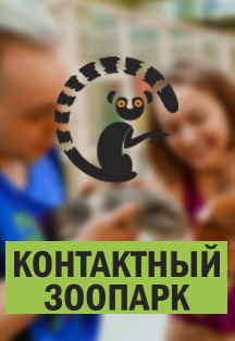 Контактный зоопарк Контактный зоопарк