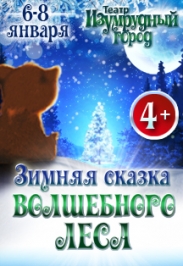 Спектакль "Зимняя сказка волшебного леса" Спектакль "Зимняя сказка волшебного леса"