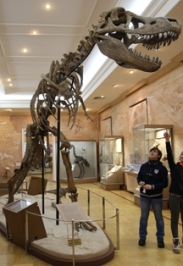 Музей естественной истории Татарстана, фото