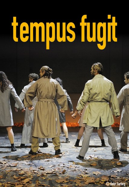 Фото афиши Tempus fygit
