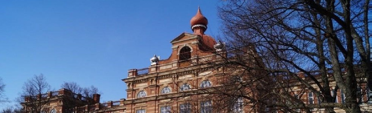 Фото афиши Экспозиция музея истории Елабужского института.
