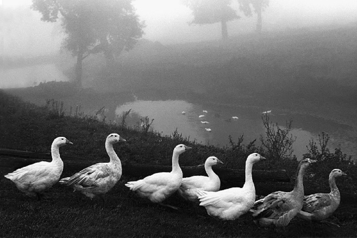 Фото афиши Дни школьных каникул в ГСИ: творческая встреча с фотохудожником Евгением Канаевым.