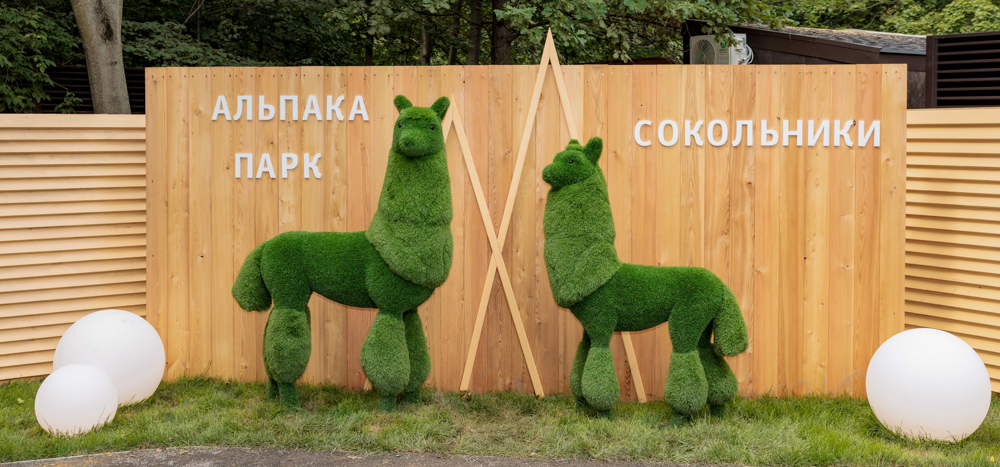 msk/gallery/97/973e3cac3d005b25093ce94cc3a42d39.jpg