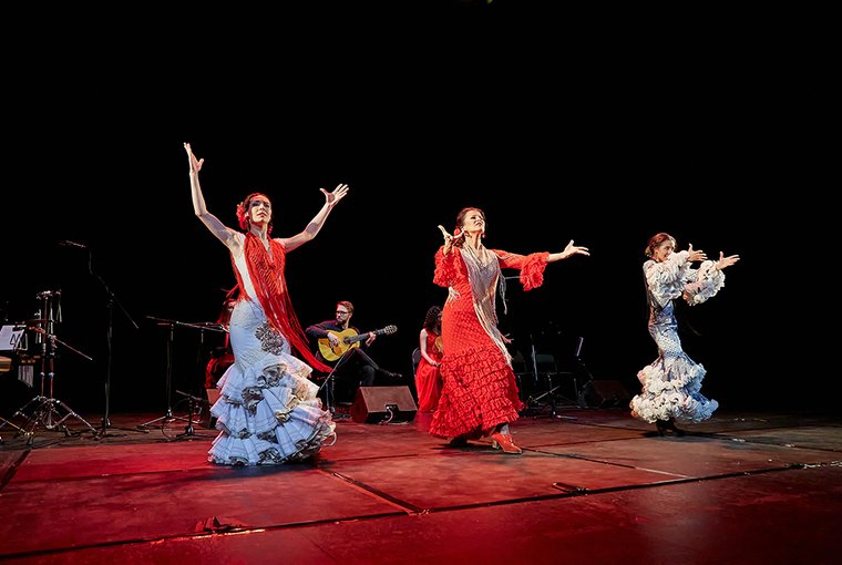 Flamenco Capriccios — фото 9