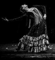 Gala Barrio Flamenco Gala Barrio Flamenco