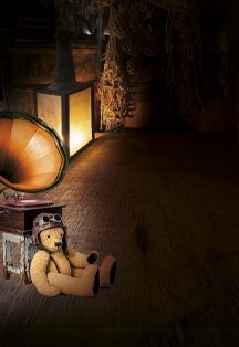 ЧерДачные истории ЧерДачные истории
